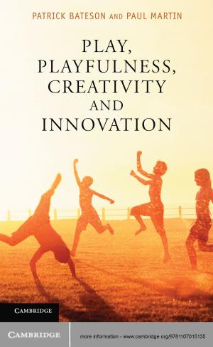 Book cover of Play, Playfulness, Creativity and Innovation