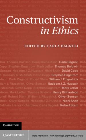 bigCover of the book Constructivism in Ethics by 