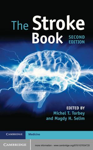 Cover of the book The Stroke Book by Nicholas D. More