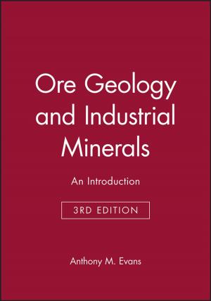 Cover of the book Ore Geology and Industrial Minerals by Georg Schwedt