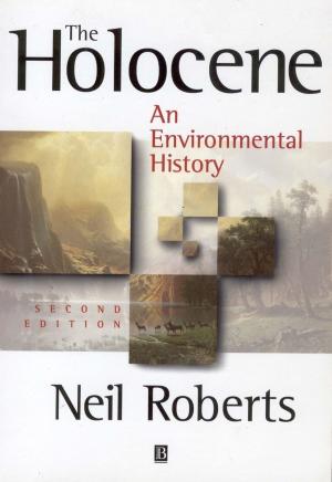 Cover of the book The Holocene by John R. Dean