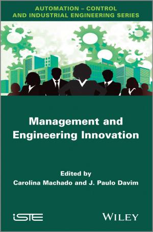 Cover of the book Management and Engineering Innovation by Mary Daly