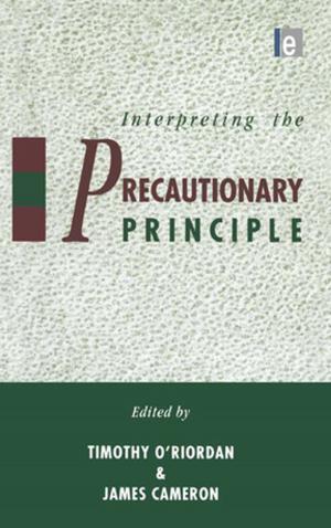 Cover of the book Interpreting the Precautionary Principle by Jerry Wilde