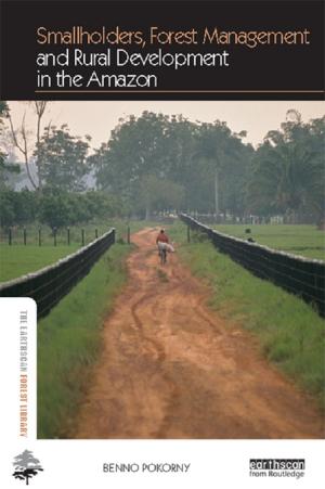 Cover of the book Smallholders, Forest Management and Rural Development in the Amazon by Ruth Lesser, Lesley Milroy