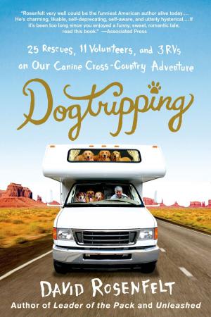 Cover of the book Dogtripping by Susan Jacoby, Suzanne M. Levine