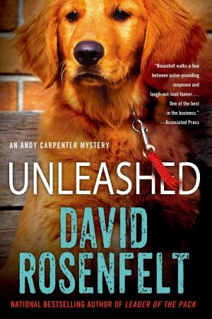 Cover of the book Unleashed by Celeste Bradley
