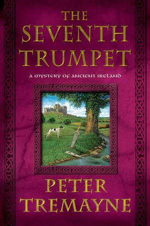 Cover of the book The Seventh Trumpet by David Samson, Joe Edelman