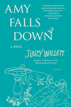 Cover of the book Amy Falls Down by Asi Burak, Laura Parker
