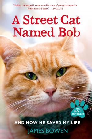 Cover of the book A Street Cat Named Bob by Steve Guttenberg