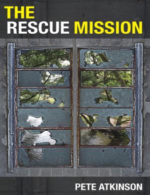 Cover of the book The Rescue Mission by Shara Azod