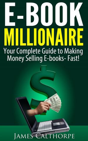 bigCover of the book EBook Millionaire by 