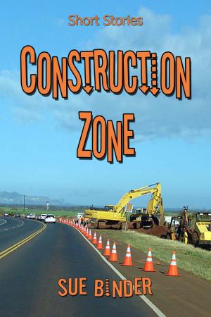 Book cover of Construction Zone