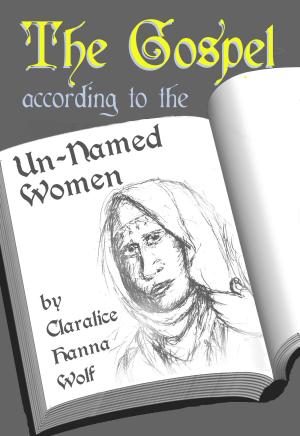 Cover of the book The Gospel According to the Un-Named Women by A J Lyne