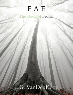 Cover of the book Fae: The Book of Faolan by Derek Jeter