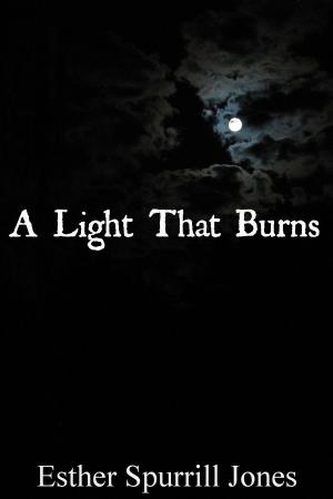 Book cover of A Light That Burns
