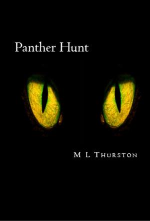 Cover of the book Panther Hunt by James A. B. Mahaffey Jr.