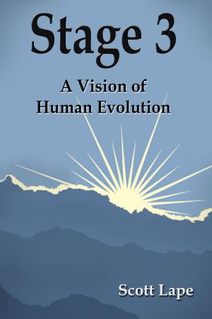 Cover of the book Stage 3: A Vision of Human Evolution by Jerald S. Altman, M.D., Richard Jacobson