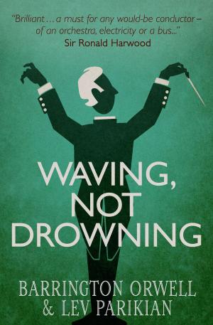 bigCover of the book Waving, Not Drowning by 