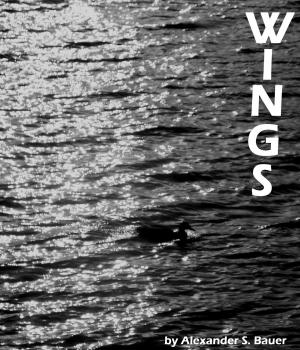bigCover of the book Wings by 