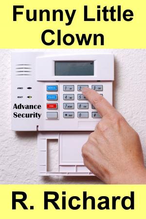 Book cover of Funny Little Clown