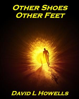 Book cover of Other Shoes, Other Feet