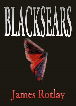 Cover of the book Blacksears by Michaela Finn