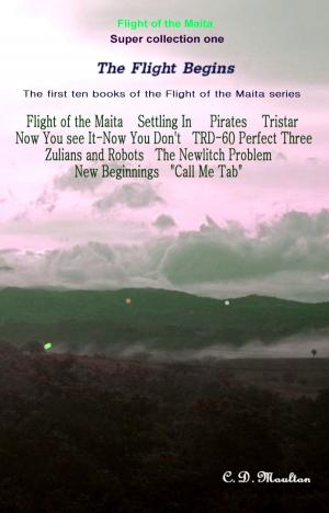 Cover of the book The Flight Begins by Debra L Martin, David W Small
