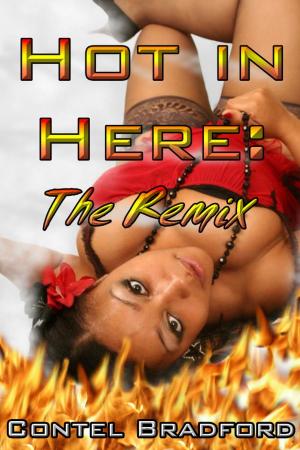 Cover of the book Hot In Here: The Remix by Helene Slone