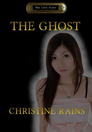 Cover of the book The Ghost by teddy goldstein
