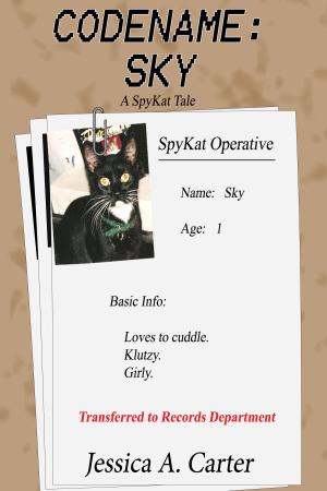 Cover of the book Codename: Sky by Mary Jo Nickum