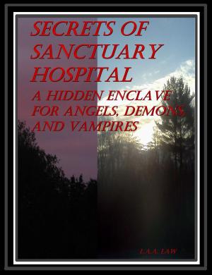 Cover of the book Secrets Of Sanctuary Hospital A Hidden Enclave For Angels, Demons, And Vampires by Mickee Madden