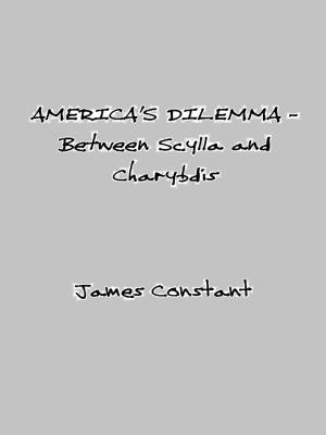 Book cover of America's Dilemma: Between Scylla and Charybdis