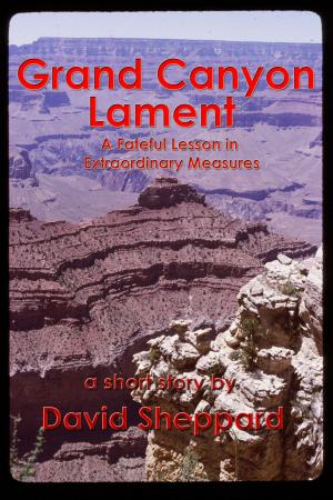 Cover of the book Grand Canyon Lament, A Fateful Lesson in Extraordinary Measures by Dante Garcia
