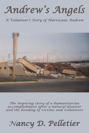 Book cover of Andrew's Angels: A Volunteer's Story of Hurricane Andrew