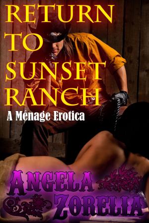 Book cover of Return To Sunset Ranch