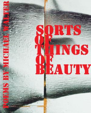 Book cover of Sorts Of Things Of Beauty