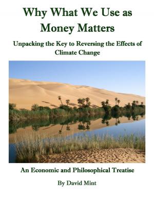Book cover of Why What We Use as Money Matters