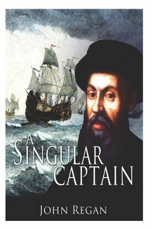 Book cover of A Singular Captain