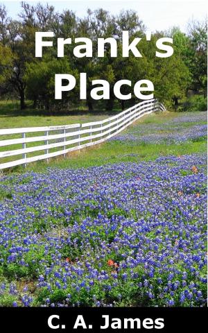 Book cover of Frank's Place