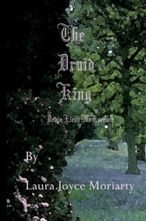Book cover of The Druid King Devin Elean McKaeraer