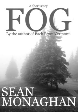 Cover of the book Fog by Sean Monaghan
