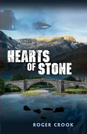 Cover of the book Hearts of Stone by Jonah Gibson
