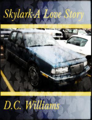 Cover of the book Skylark-A Love Story by C.C. Williams
