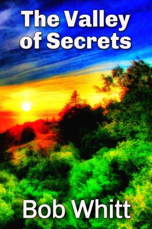 Cover of the book The Valley of Secrets by J.W. Stokes