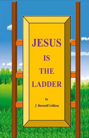 Book cover of Jesus is the Ladder