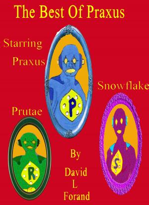 Cover of the book The Best Of Praxus by Karla Oceanak