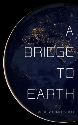 Cover of the book A Bridge To Earth by Nicholas John