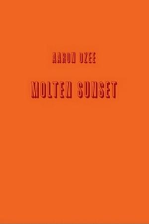 Book cover of Molten Sunset