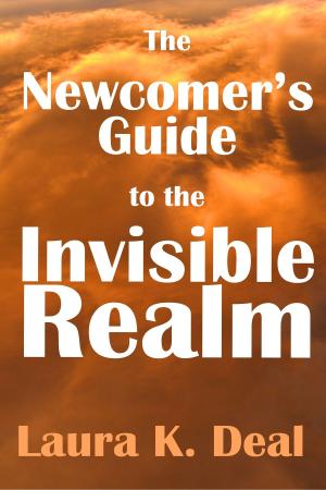 Cover of The Newcomer's Guide to the Invisible Realm: A Journey Through Dreams, Metaphor, and Imagination