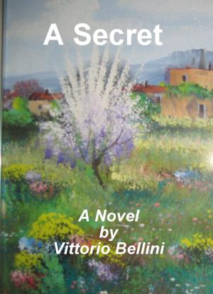 Cover of the book A Secret by Nino Capogreco